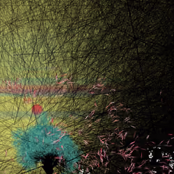 conversation with the wind #240