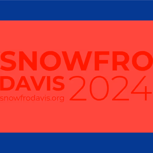 Snowfro For President By Michael Little Mikey