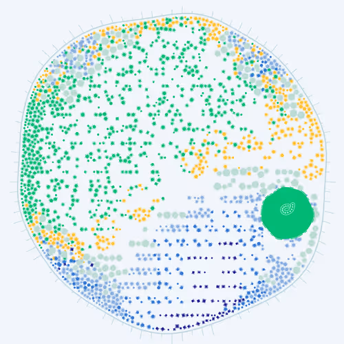 Item #194000010 Media