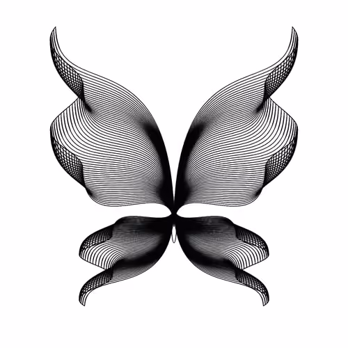 Butterfly Pact #41