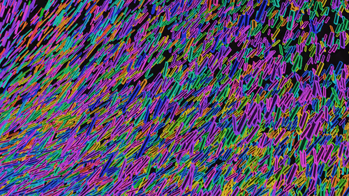 Item #293000021 Media