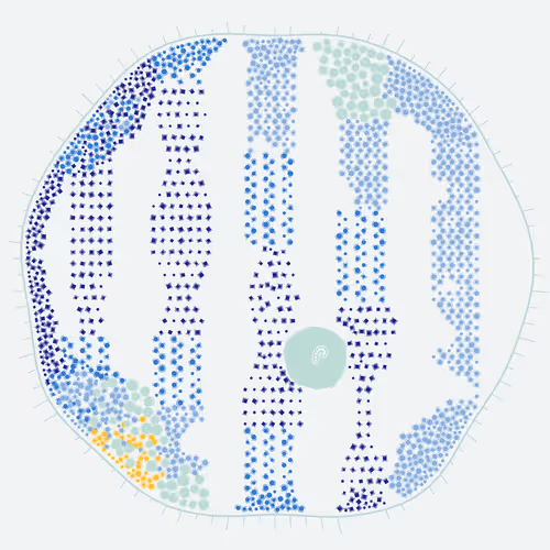 Item #194000000 Media