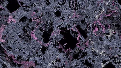 Item #199000011 Media