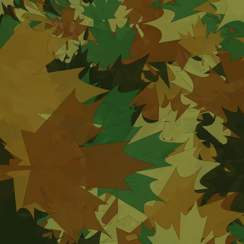 November 2023 by Tupper