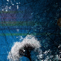 conversation with the wind #259