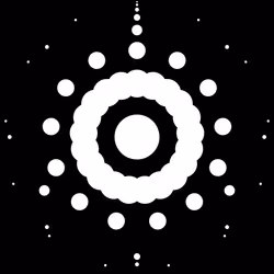 50000047