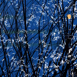 conversation with the wind #129
