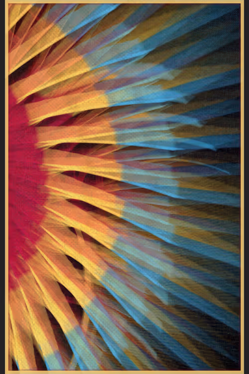 Item #13000014 Media