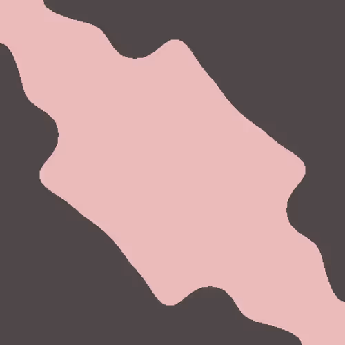 Item #217000063 Media