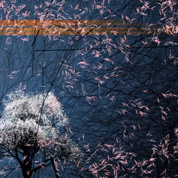 conversation with the wind #724