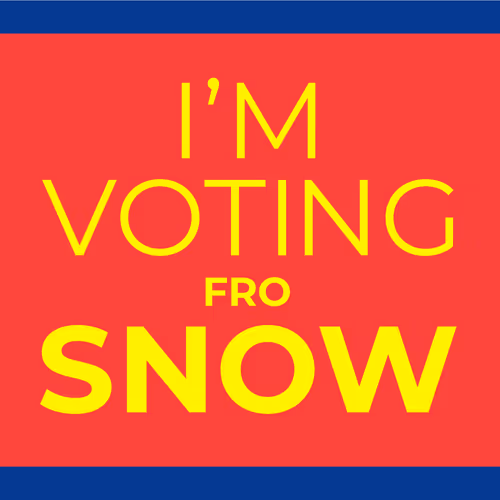 Snowfro For President By Michael Little Mikey