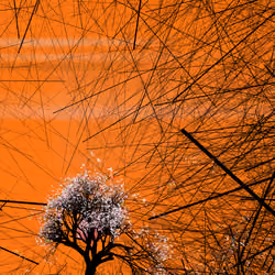 conversation with the wind #728