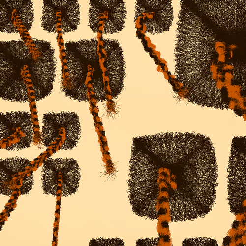 Beauty Supply Is Out of Du-Rags: A Personal Synthesis of Protection and Timeless Style #62