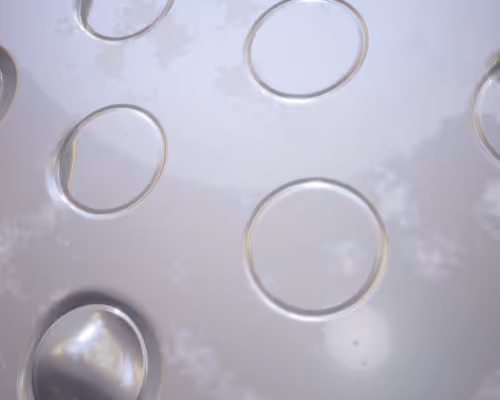 Item #296000007 Media