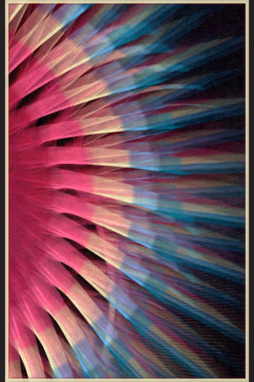 Item #13000048 Media