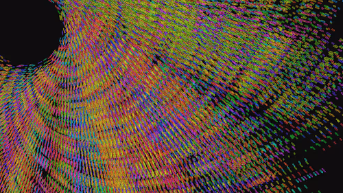 Item #293000035 Media