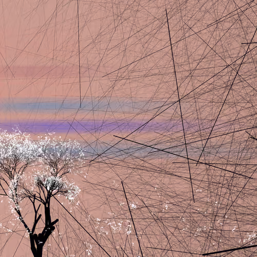 conversation with the wind #649