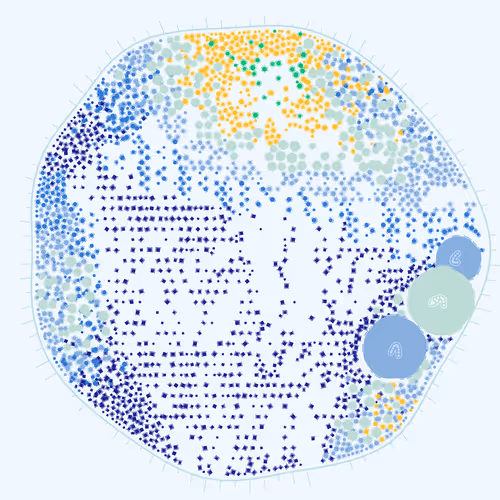 Item #194000007 Media