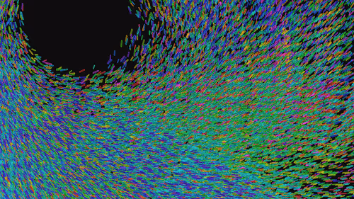 Item #293000046 Media