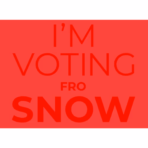 Snowfro For President By Michael Little Mikey