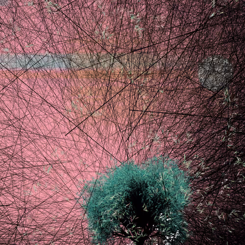 conversation with the wind #710
