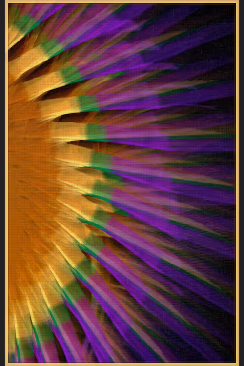 Item #13000031 Media