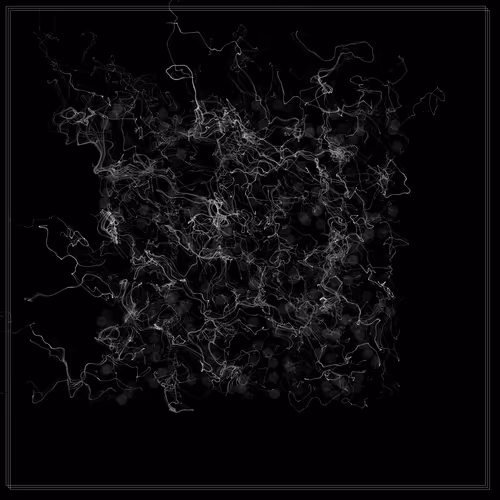 Item #103000000 Media