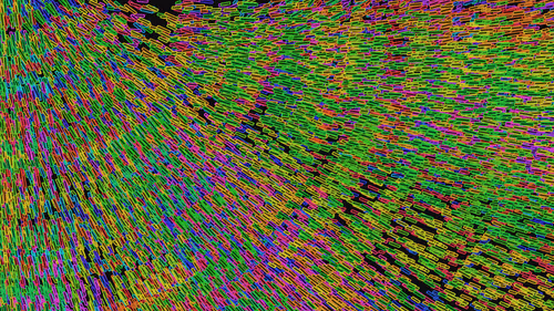 Item #293000047 Media