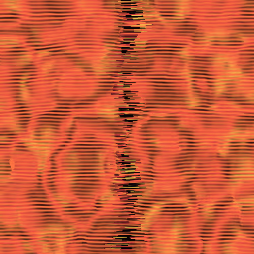 Item #201000007 Media