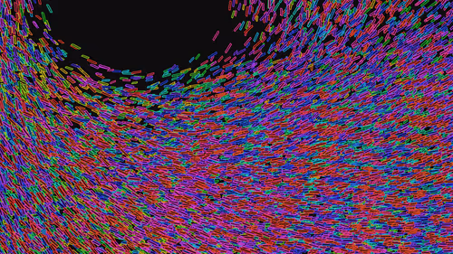 Item #293000010 Media