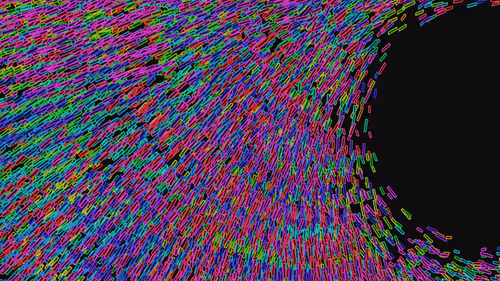 Item #293000007 Media