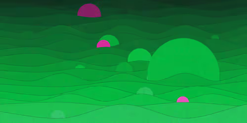 Item #64000049 Media