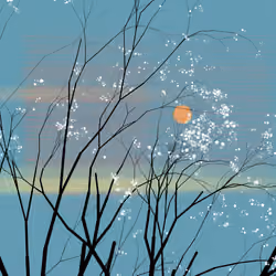 conversation with the wind #255