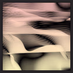 On Chain Symbiotic #893