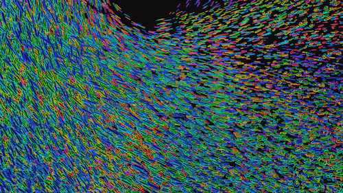 Item #293000006 Media