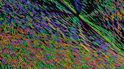 Item #293000056 Media