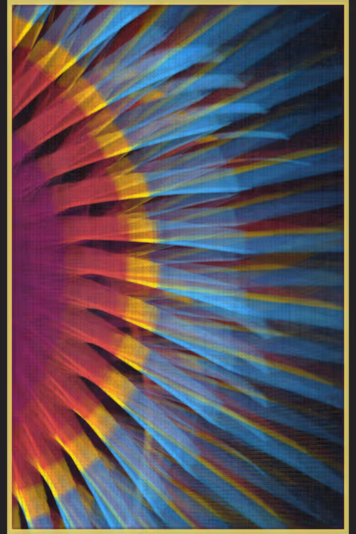 Item #13000005 Media