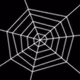 232000205