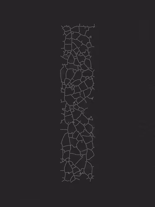 Item #200000000 Media