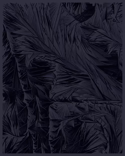 Item #21000029 Media