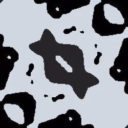 217000067