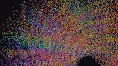 Item #293000036 Media