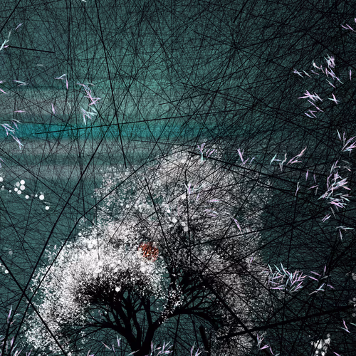 Conversation With The Wind By Reza Milani