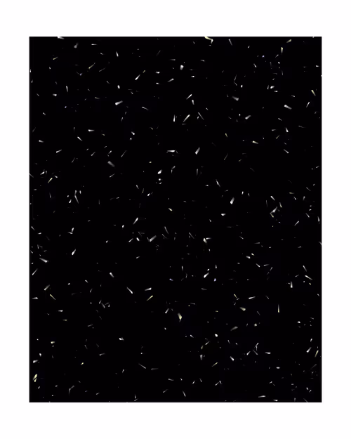 Item #39000043 Media