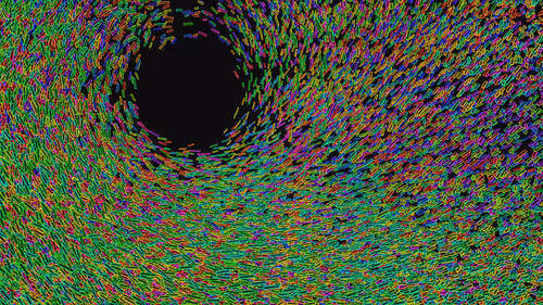 Item #293000013 Media