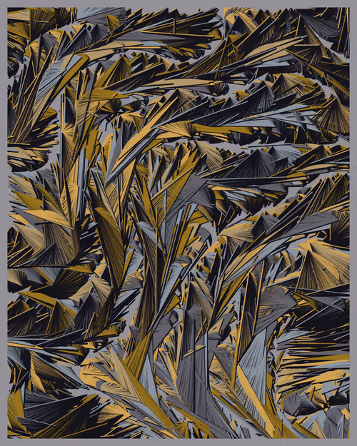 Item #21000028 Media