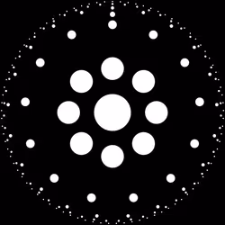 50000041