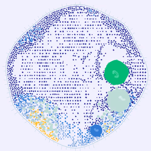 Item #194000009 Media