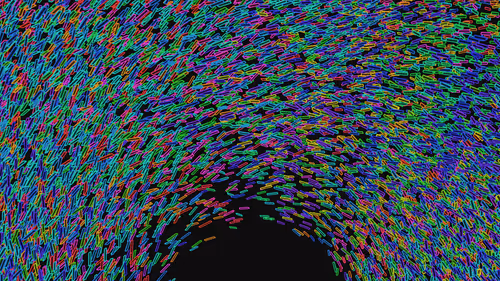 Item #293000063 Media