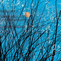 conversation with the wind #313